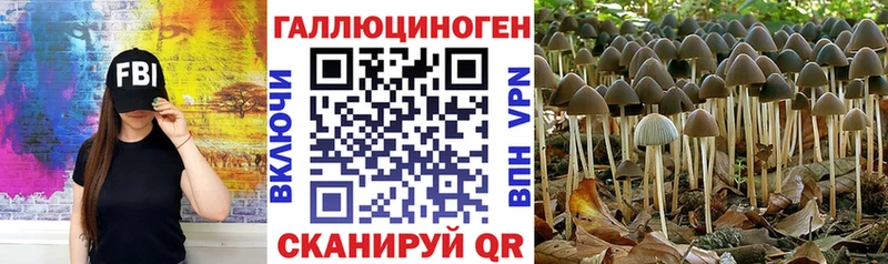 omg ССЫЛКА  Белозерск  Псилоцибиновые грибы MAGIC MUSHROOMS  сколько стоит 